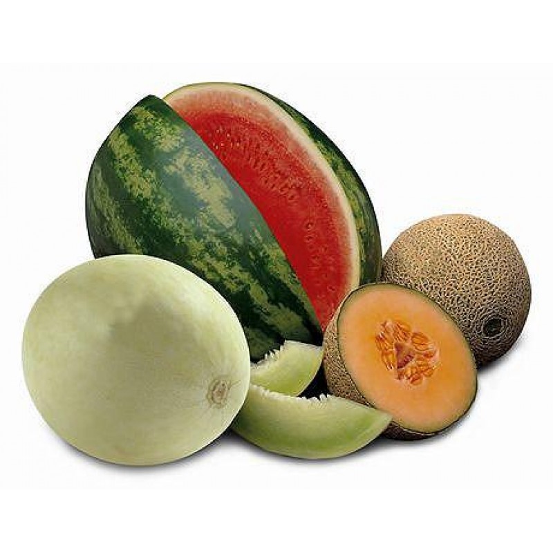 The Last E-Liquid Company - LEC - Cangolya Melon