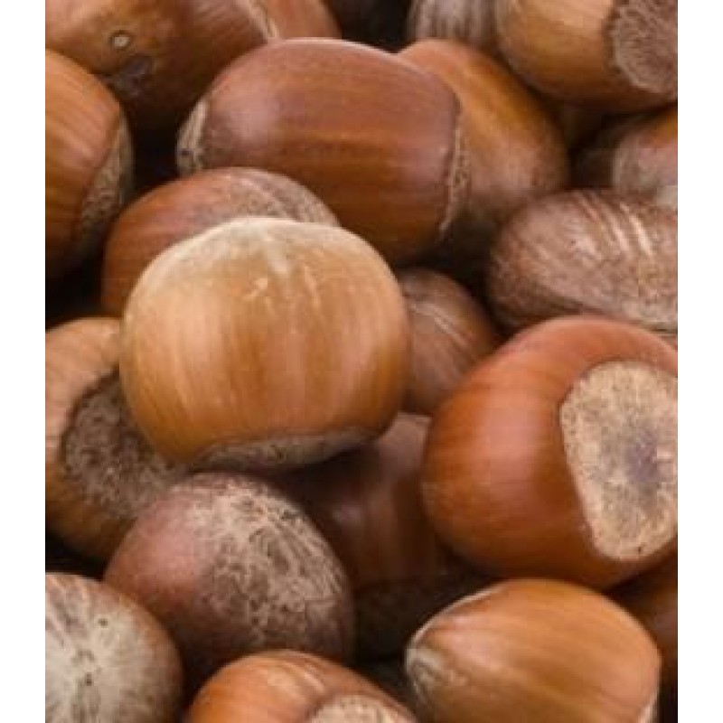 Flavour Art - Hazlenut