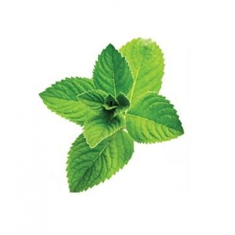 Flavor West Natural Spearmint