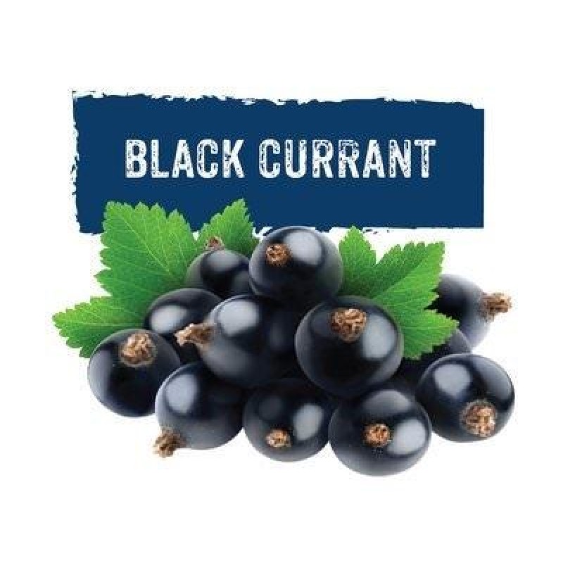 GLF Black Currant