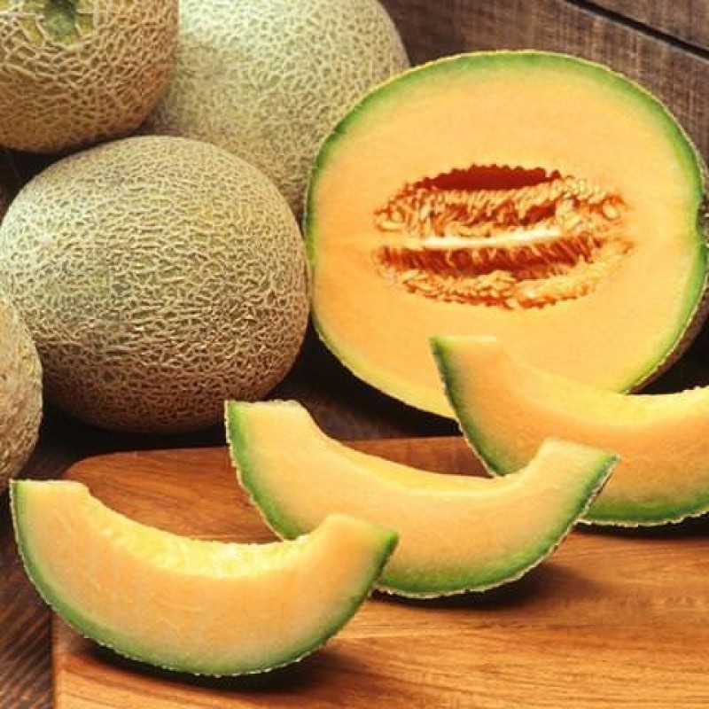 TPA TFA Cantaloupe