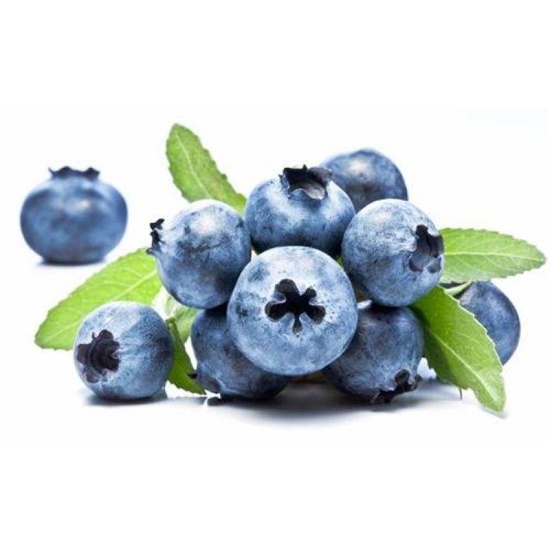TPA TFA Wild Blueberry
