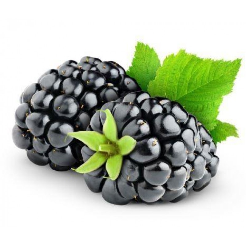 Flavour Art - Blackberry