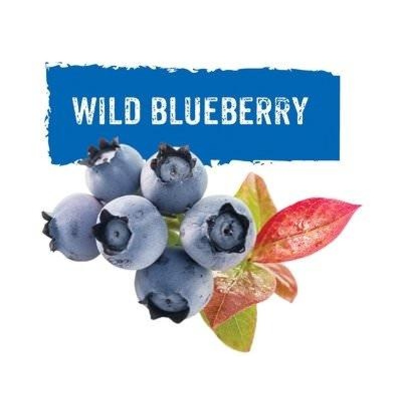 GLF Wild Blueberry