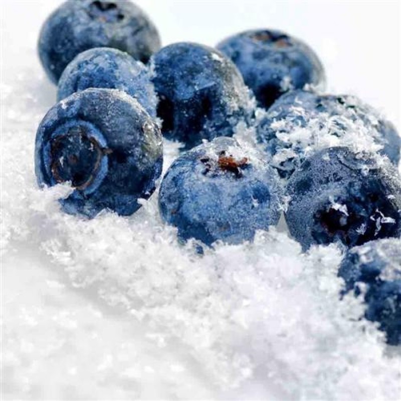 Vapen juice 2 - Boo Berry Iced
