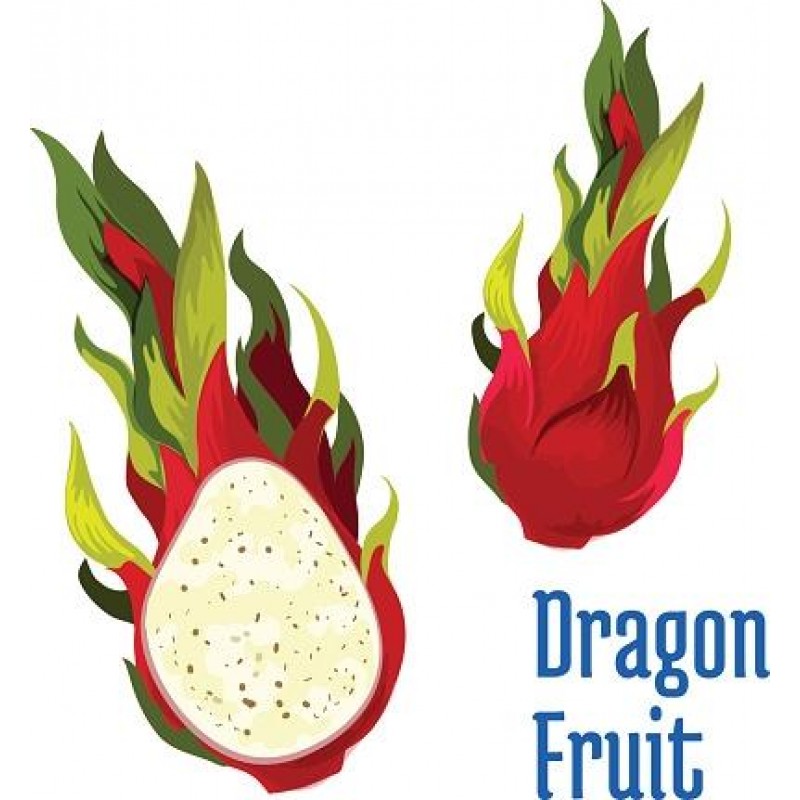 Vapen juice - Dragons Fruit